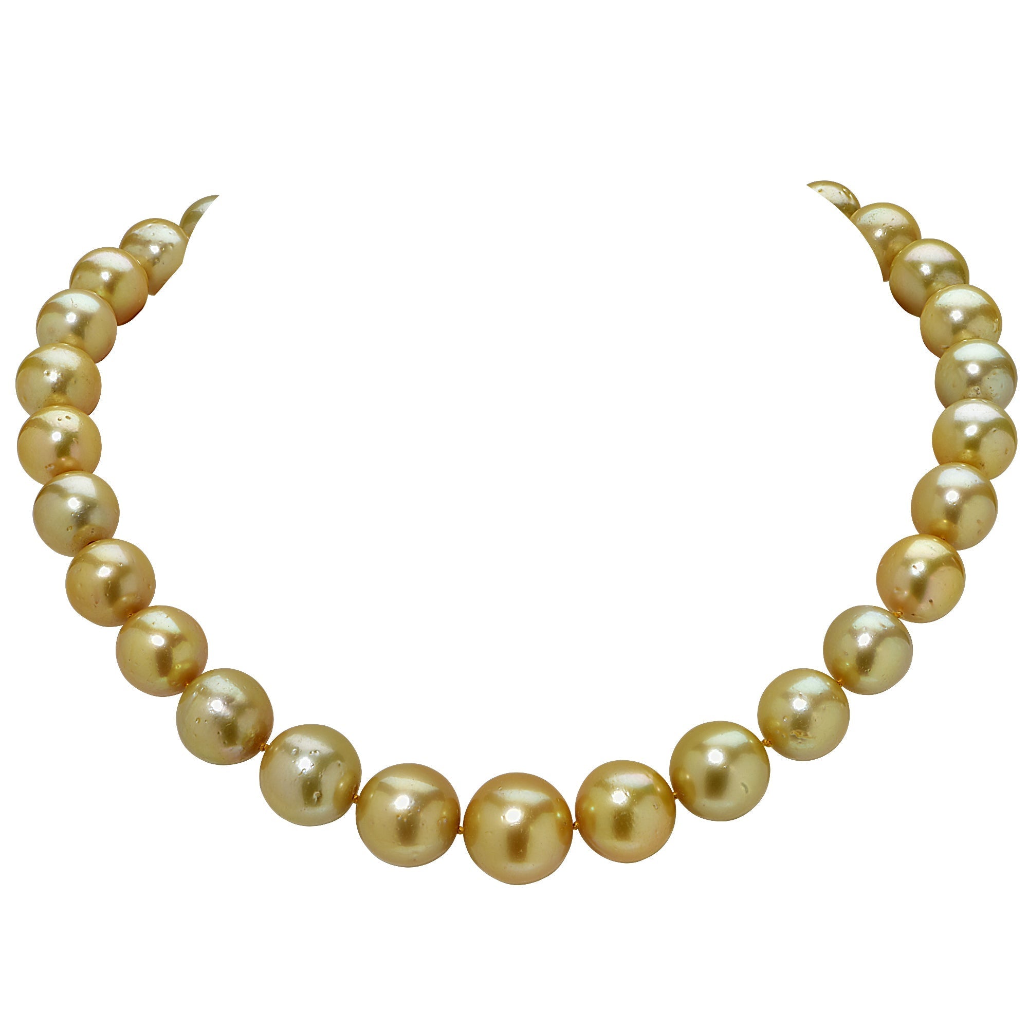 Stunning 12-16MM Gold South Sea Pearl Necklace by Vivid Diamonds featuring a luxurious design and vibrant golden hues, secured with a 14K yellow gold clasp. This elegant jewelry piece exemplifies luxury and sophistication.