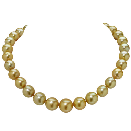 Stunning 12-16MM Gold South Sea Pearl Necklace by Vivid Diamonds featuring a luxurious design and vibrant golden hues, secured with a 14K yellow gold clasp. This elegant jewelry piece exemplifies luxury and sophistication.